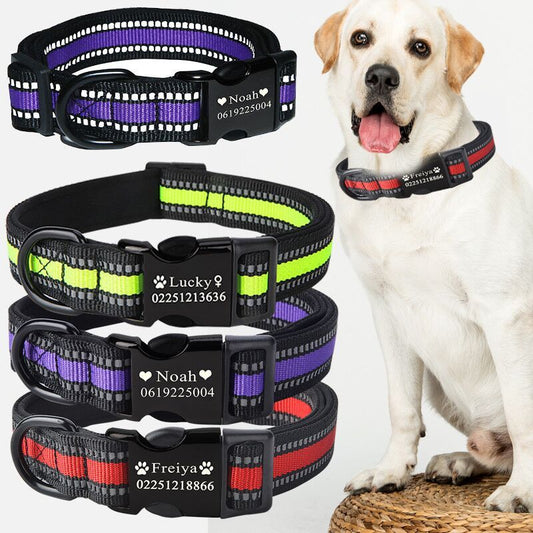 LetterLuxe™ Custom Engraved Dog Collar