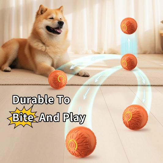 LumiBall Pro – Smart Bouncing & Light-Up Dog Toy